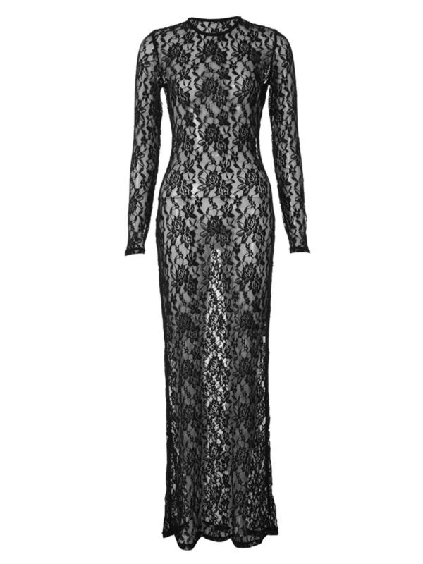 Women's Sheer Lace Long Sleeve Sheer Mermaid Dress, Sexy Round Neck See Through Long Dress for Party Club Dating Wear, Ladies Spring & Fall Clothes